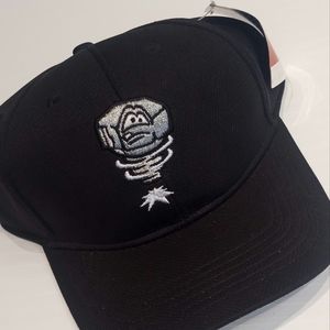 Lansing Lugnuts MiLB Hat, Adjustable, Brand New